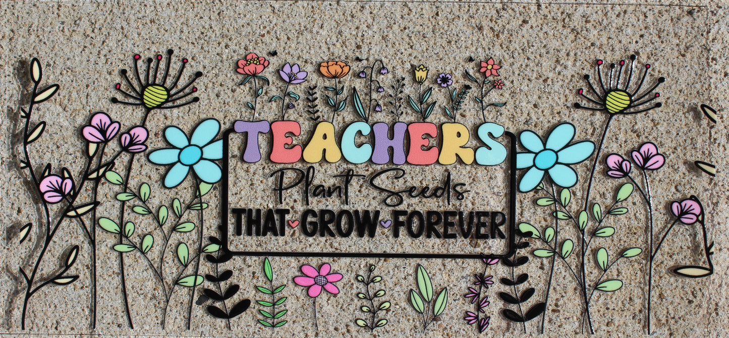 Teacher #252