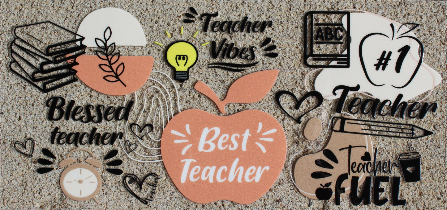 Teacher #245