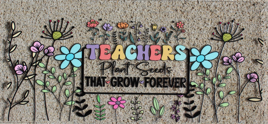 Teacher #252
