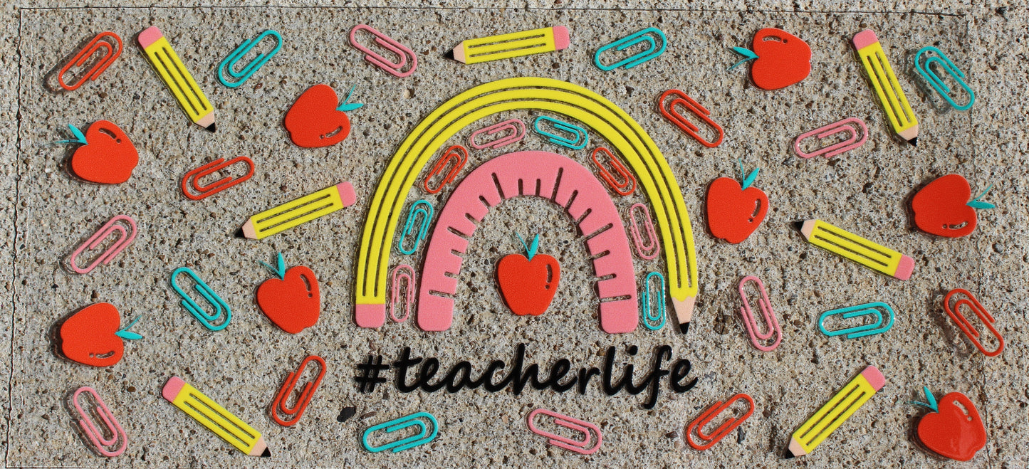 Teacher #249
