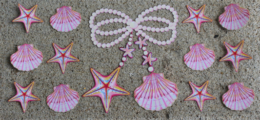 Shells #369