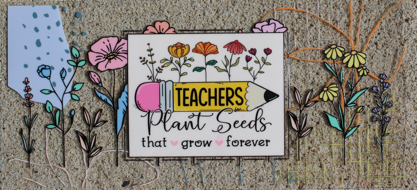 Teacher #251
