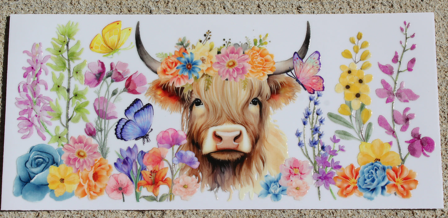Cows #047