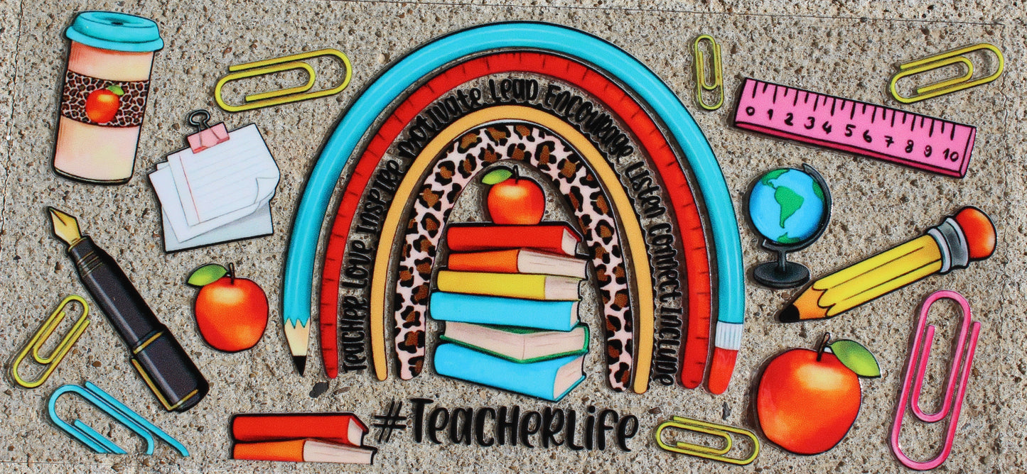 Teacher #242