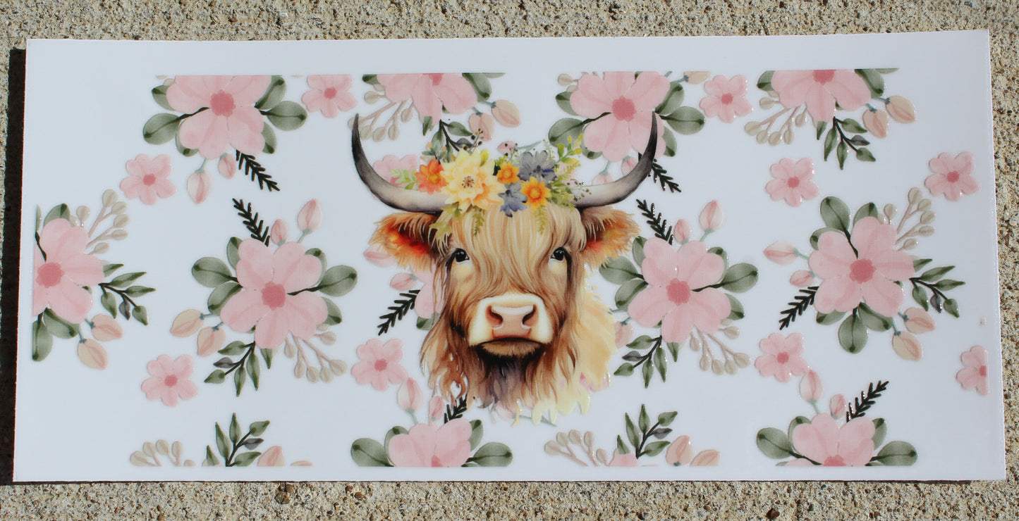 Cows #042